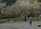 160308 p016