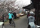 160308 p034
