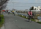 160320 p038