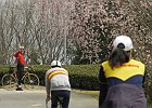 160403 p154