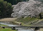 160403 p180