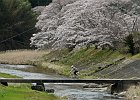 160403 p182