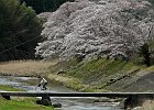 160403 p184