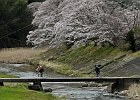 160403 p186