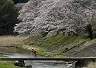 160403 p196