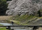 160403 p198