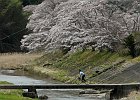 160403 p202