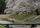 160403 p204