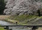 160403 p206