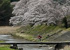 160403 p210