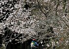 160403 p218