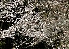160403 p220