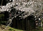 160403 p222
