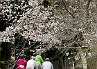 160403 p224