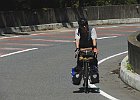 160503 p196