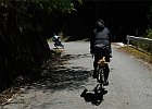 160503 p260