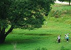 8月1日 都祁-室生早朝サイク