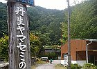 Photo : なおじさん
