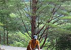 Photo : ギンタロウさん