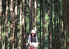 Photo : ギンタロウさん