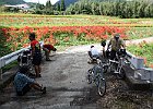 Photo : だいすけさん