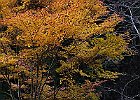 161113 p172