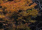 161113 p174