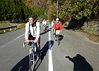 芋ヶ峠への道