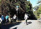 芋ヶ峠にて
