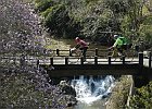 4月2日 津風呂湖畔 - 宇陀路サイク