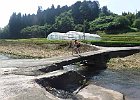 Photo : syokoraさん
