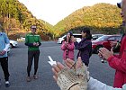 171105 p342
