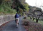 Photo : T御大