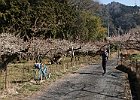 Photo : 輪童さん