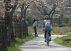 180326 p160