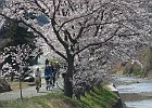 180331 p020