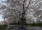 180331 p192