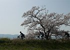180331 p300