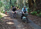 車両通行止で車が入らないのでかなり荒れています。