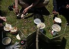180429 p146