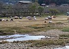 22日木曜、私とkitamakiさんが笠置へ、午前中まで雨が降っていた事もあって、到着した15時過ぎでも、テントサイトはまばら。