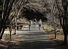 190103 p196