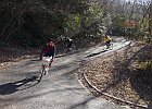 190103 p278