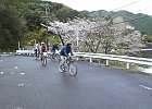 旧R311