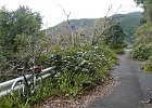 旧々R311　Photo : まえださん