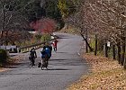 201122 p322