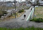 210327 p010