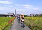 9月23日 乾さんの「稲渕棚田のカカシと彼岸花の乱」(一部)