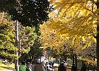Photo : タックさん