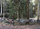 Photo : タックさん